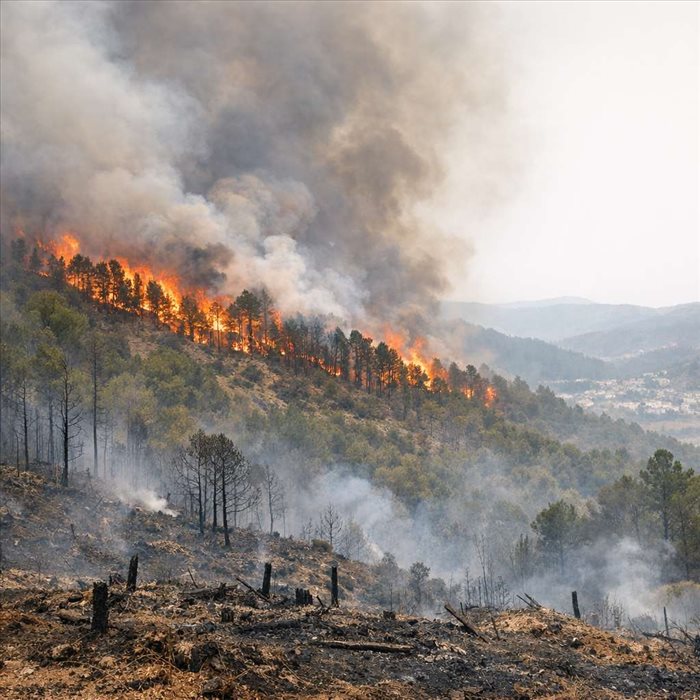 Incendies en Espagne : quelles régions sont les plus touchées ?